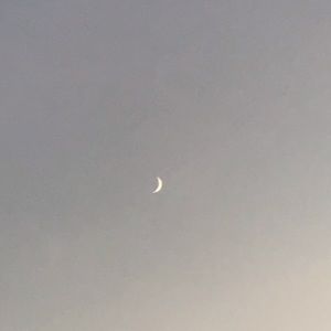 Meet your Posher, Cate